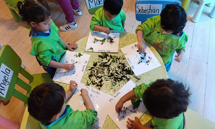 La huerta como experiencia viva de aprendizaje en Colegio Meraki